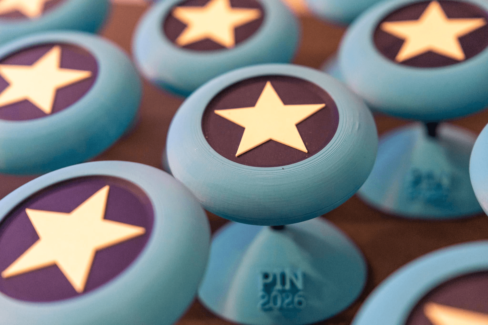 Premiile PIN 2026 - trofee gală